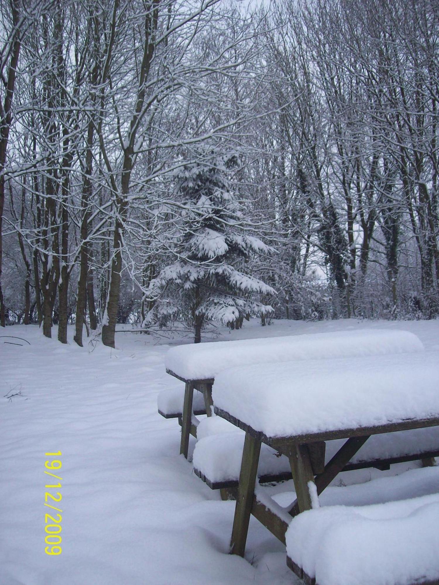 Chambres Et Table D'Hotes Les Trois Marquets Bourthes Екстер'єр фото